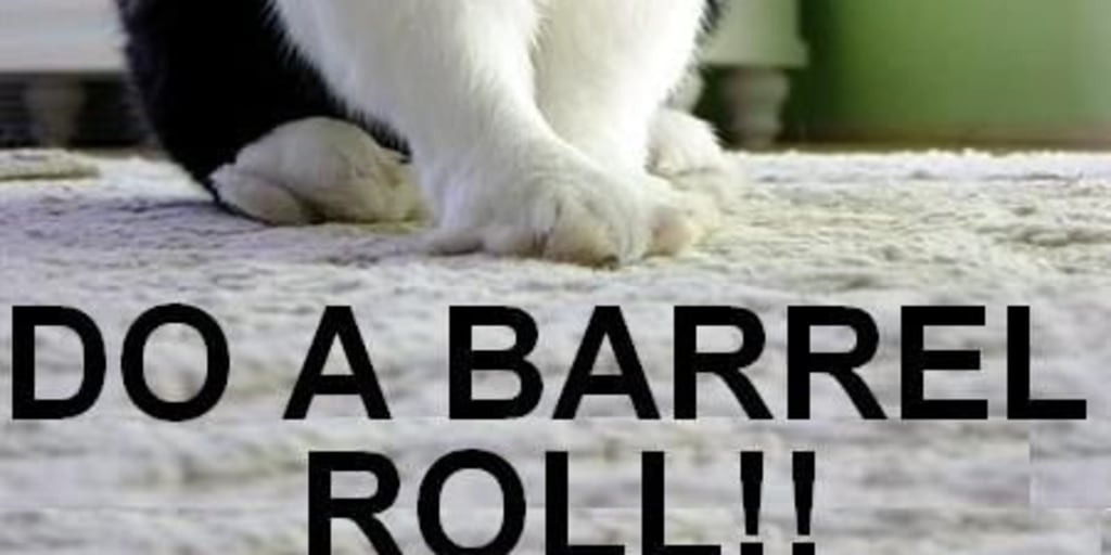 Type do a barrel roll in Google