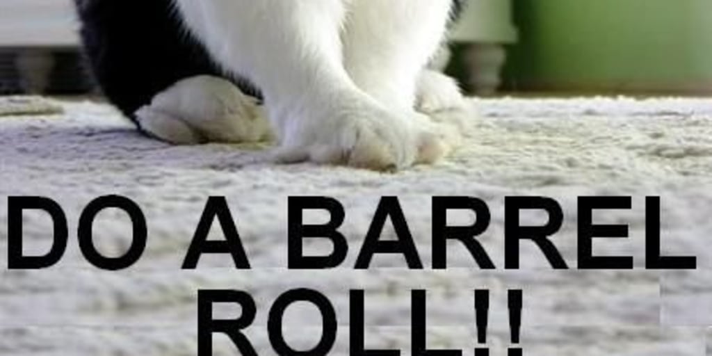 Bo a barrel roll