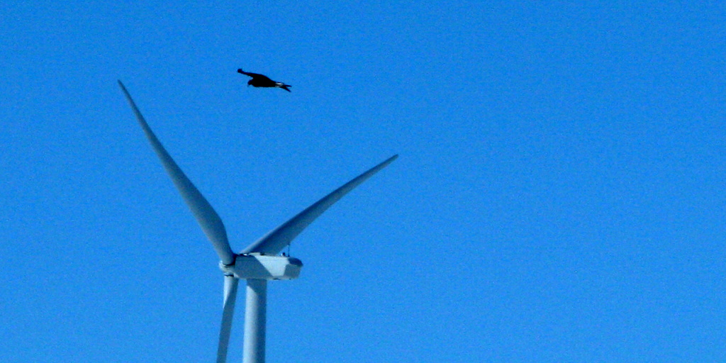 14 UGE Wind Turbines Turn Philadelphia Eagles' Home Field Into the