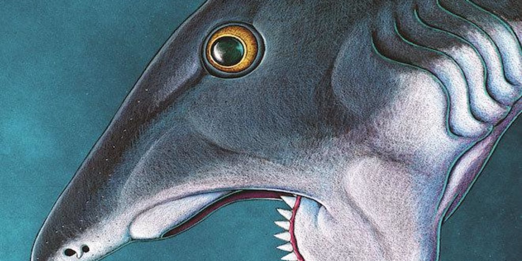Ancient Shark Relative Had Buzzsaw Mouth
