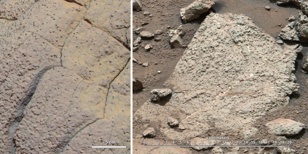 Life evolving on Mars before Earth? A tantalizing thought