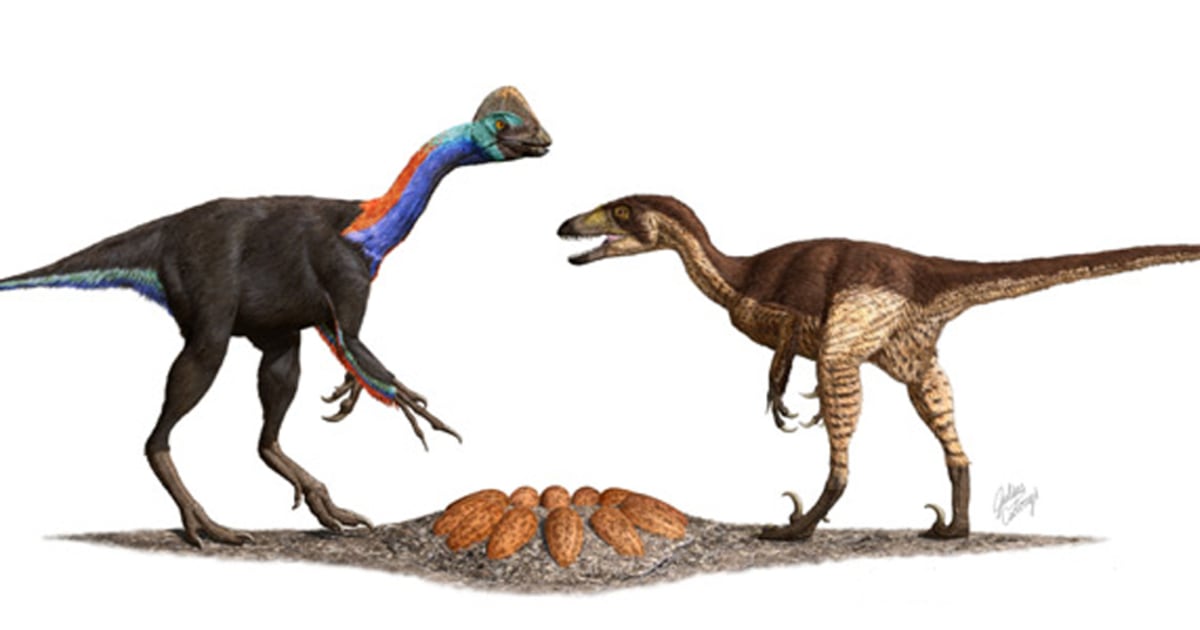 bird like dinosaur with wings