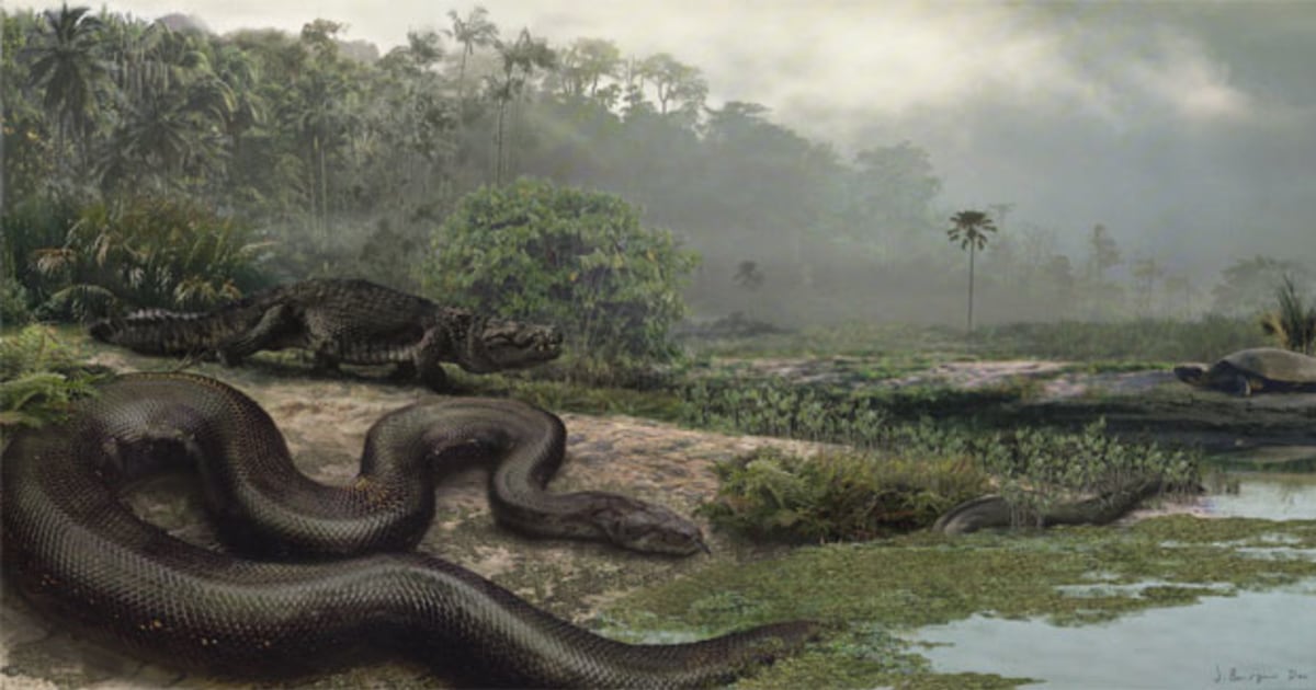 Ancient snake was as long as a bus