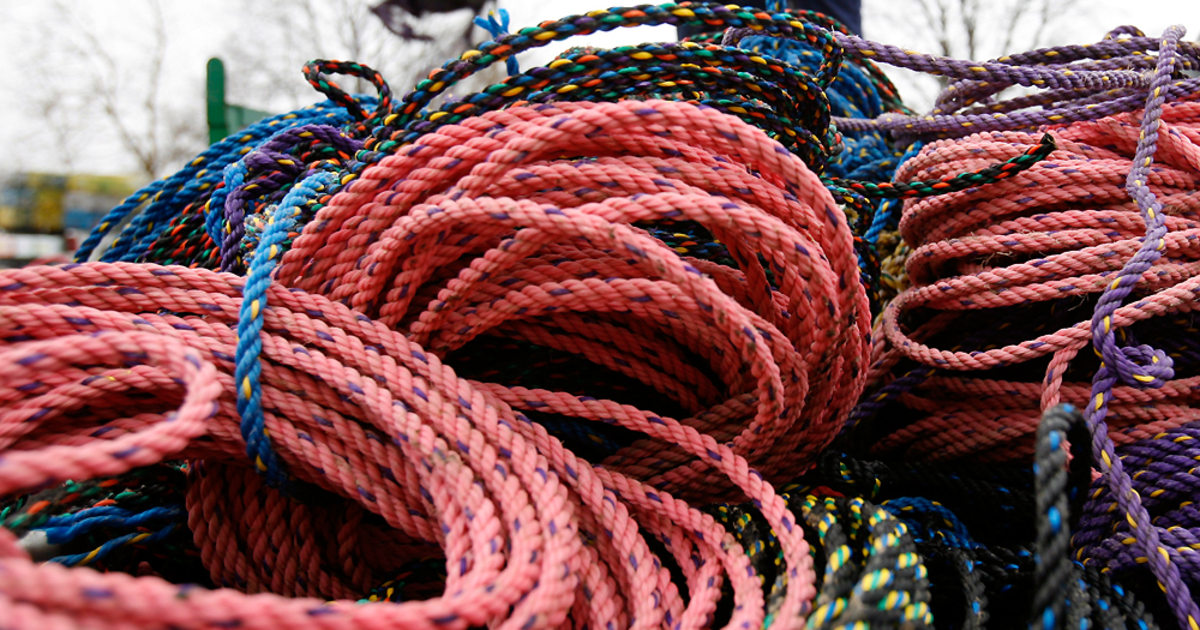 Maine Lobster Rope Swings {NEW}             .Free shipping 