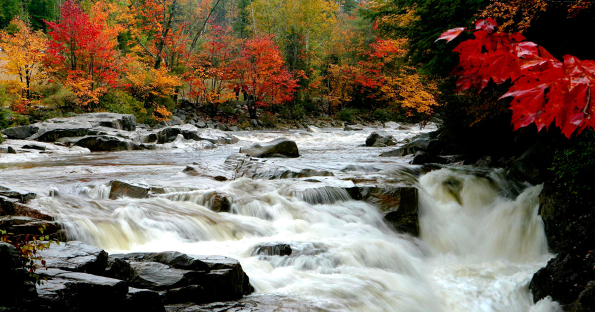 Kancing Fall Falling for the colors of ‘The Kanc’