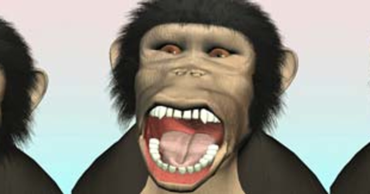 Chimps catch yawns from cartoon Chimps catch yawns from cartoon