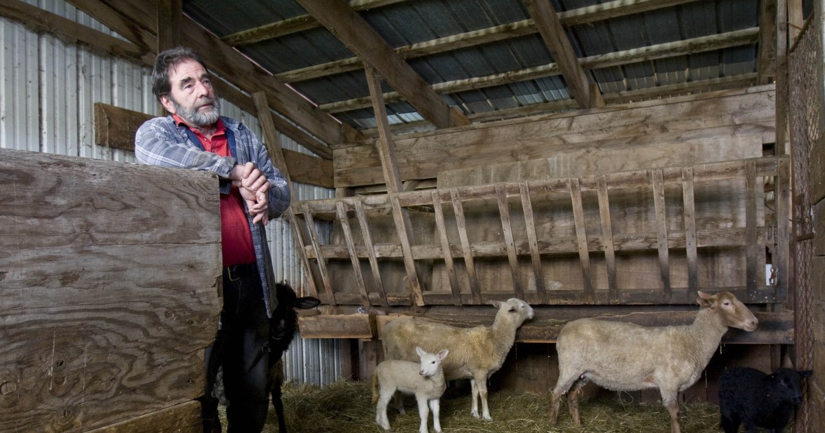 2010 declared year of the lamb