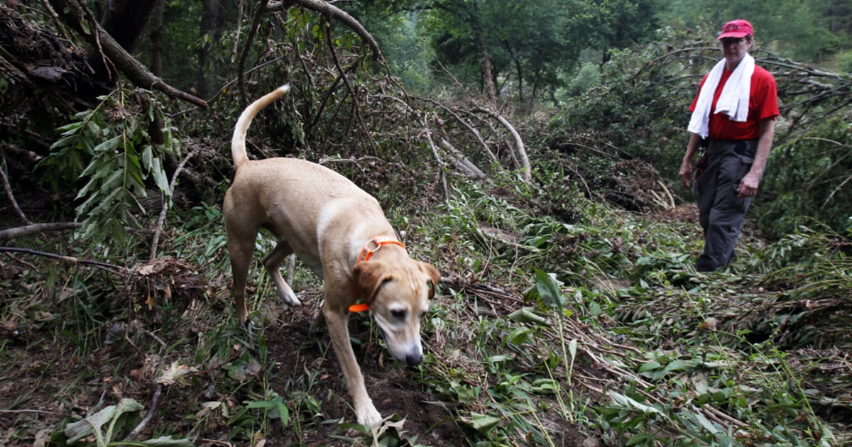 Death Toll Hits 19 In Arkansas Floods