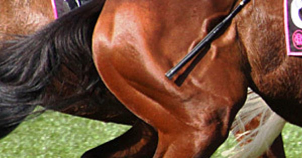 Whoa, Nelly Whipping doesn't speed up horses?