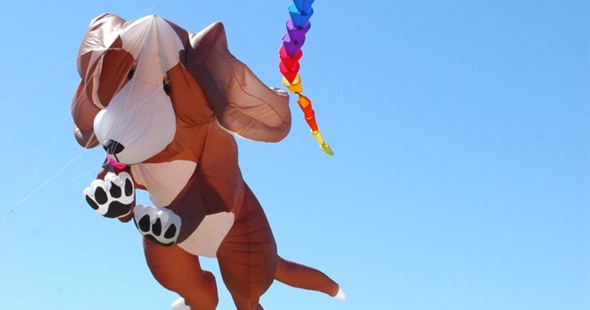 Go fly a kite! Austin festival embraces that idea