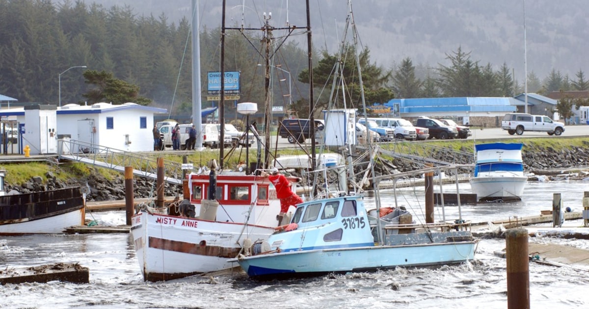 Man swept to death by tsunami wave in Calif