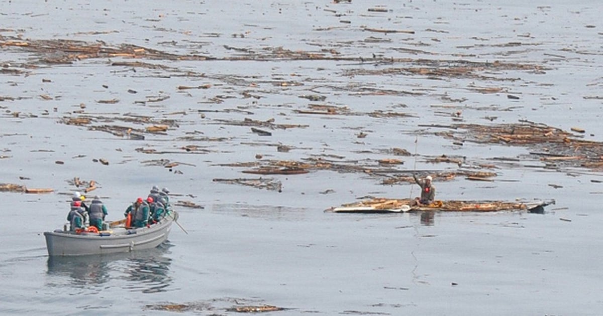 Man rescued from sea 9 miles off Japan coast