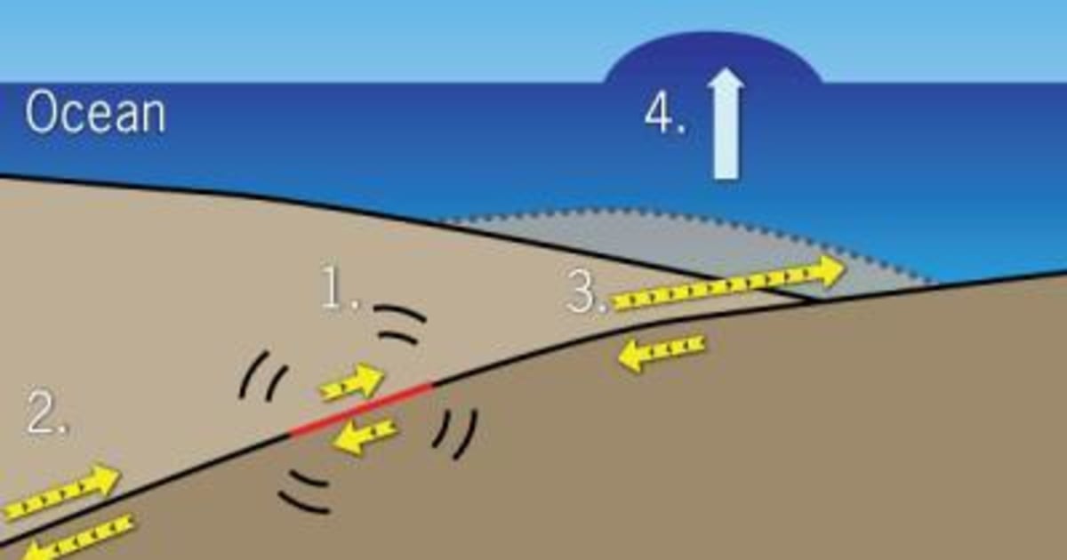 'Two-faced rupture' made Japan tsunami so big