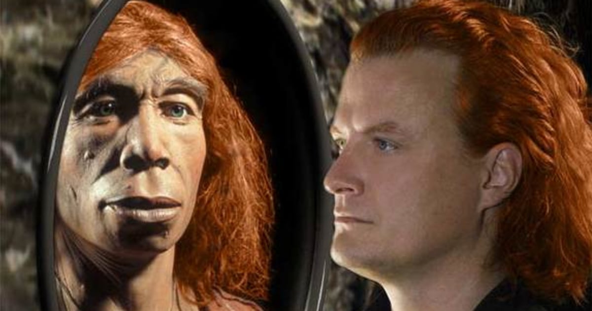 Neanderthals Had Sex With Humans Says Dna 4110