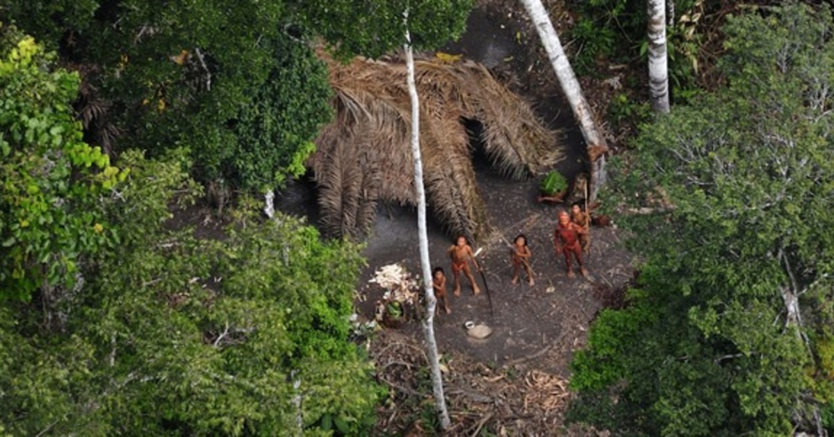 Reclusive Amazon tribe missing after attack