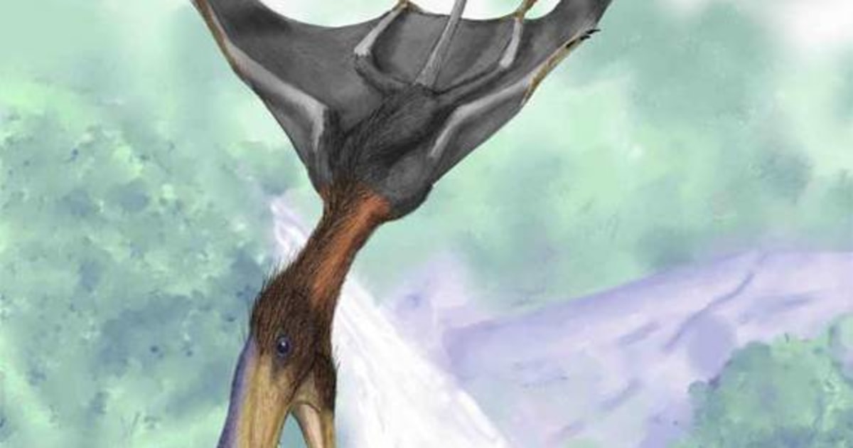 pterosaurs frost science