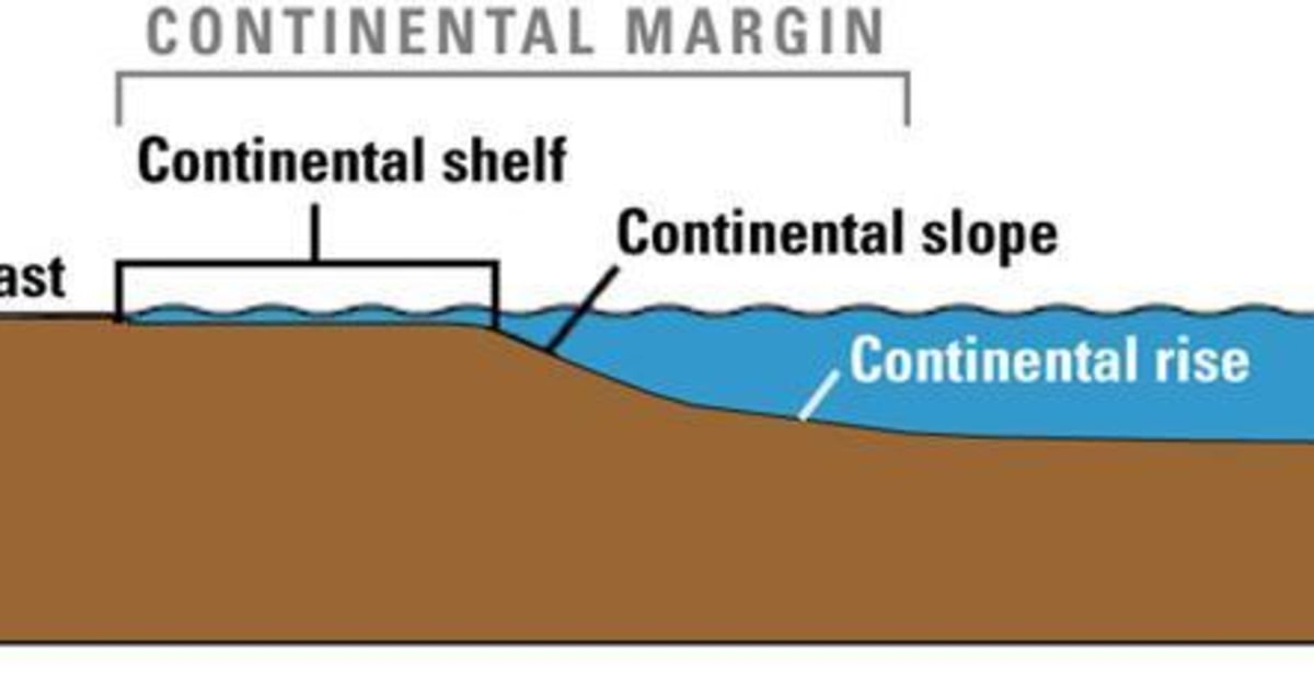 Внутренние континентальные воды. Материковый шельф. Понятие континентального шельфа. Континентальный шлейф. Континентальная отмель.