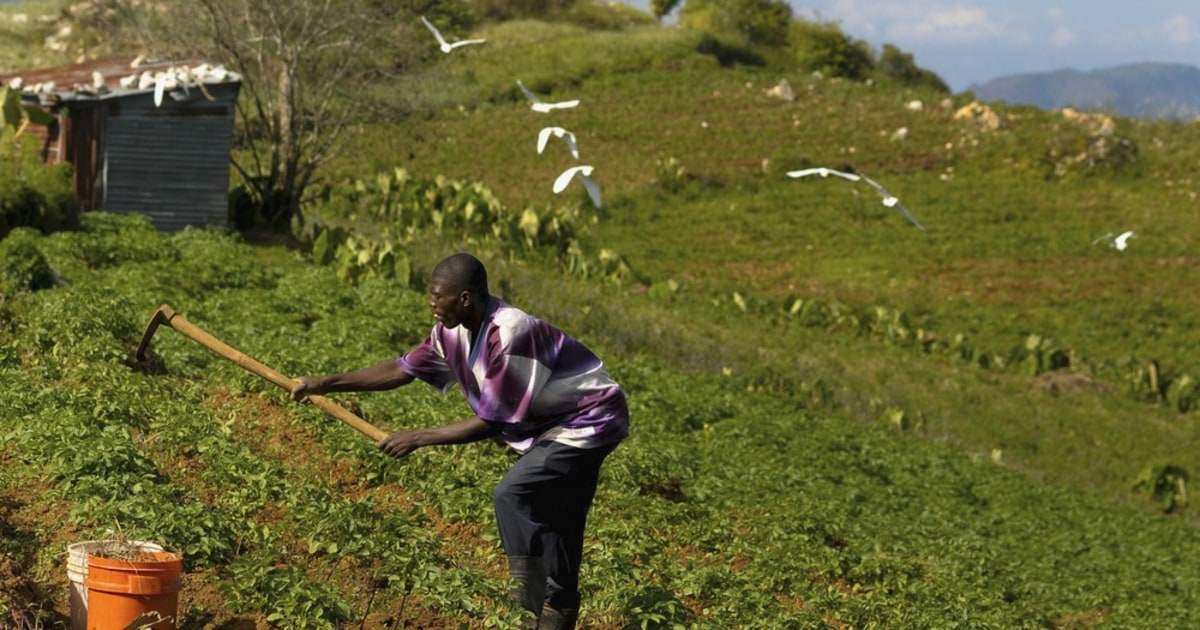 Cuba allows private ownership of state land in all but name, expert says