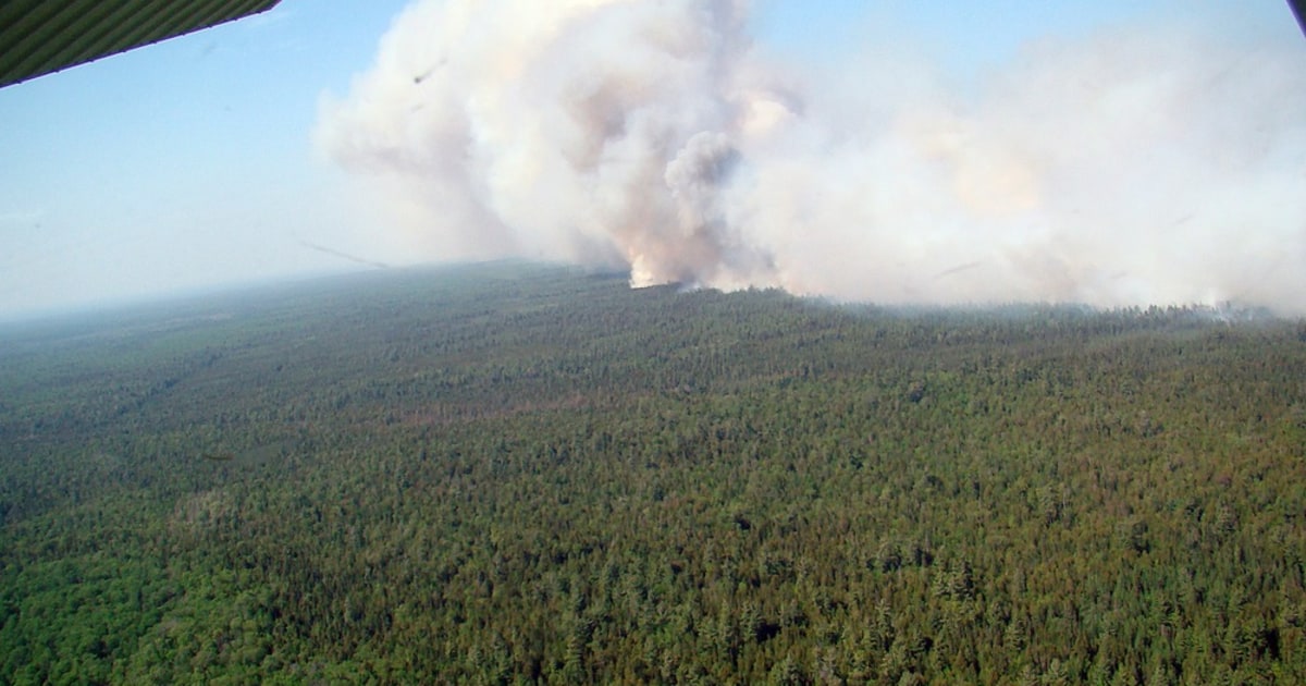 Michigan wildfire grows to more than 21,000 acres