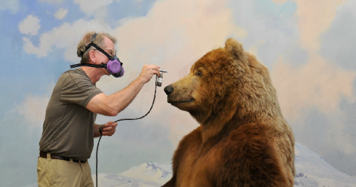 Teddy roosevelt grizzly bear sales