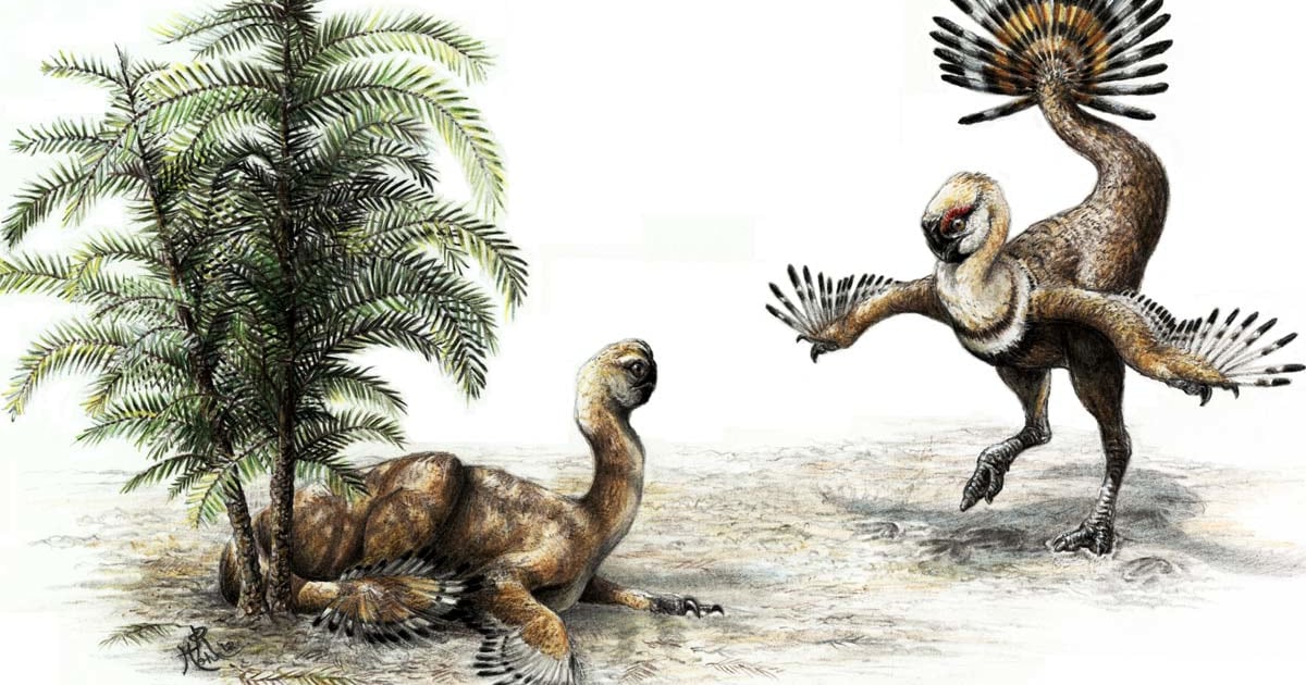 dinosaurs with clubs on their tails