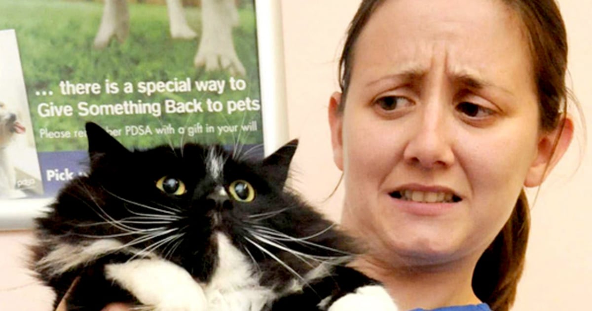 Animal Tracks Sept. 21 28