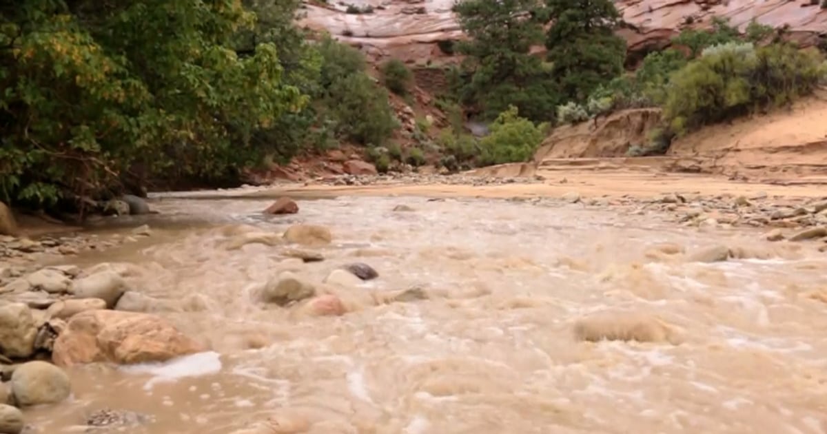 7 dead in zion national park flash flood