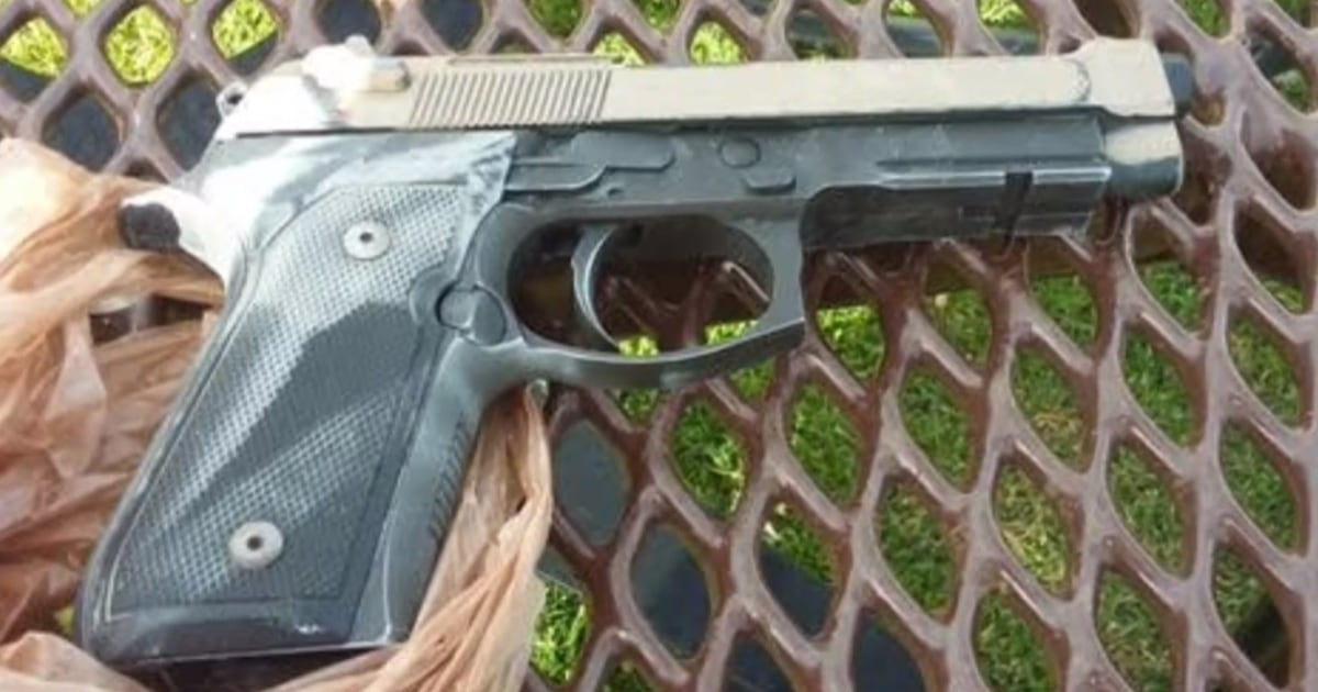 toddler-finds-stolen-gun-in-colorado-park