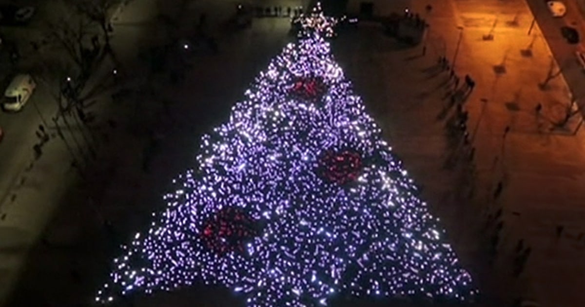 Largest Human Christmas Tree?