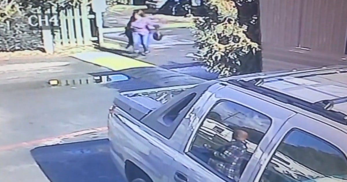 Camera Catches Woman Throwing Dog