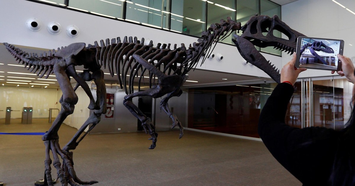 new dinosaur discovered 2021