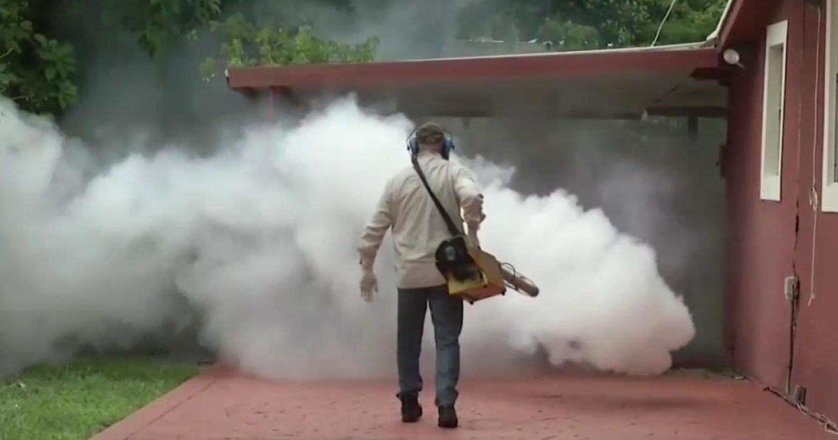 Insecticides for Zika Mosquitoes Not Working as Hoped, Officials Say