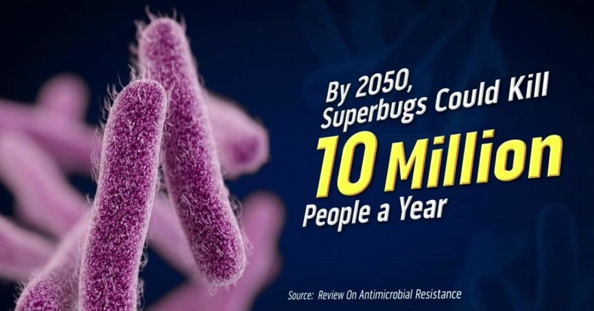 Drug-Resistant Superbugs Are &amp;#39;Fundamental Threat&amp;#39; to Humans, WHO says