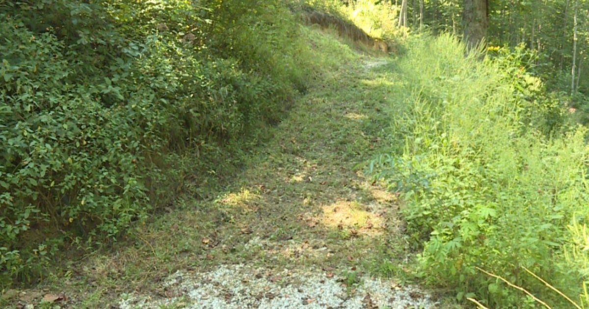 After Escaping Attacker, Rape Victim Spends Days in Woods