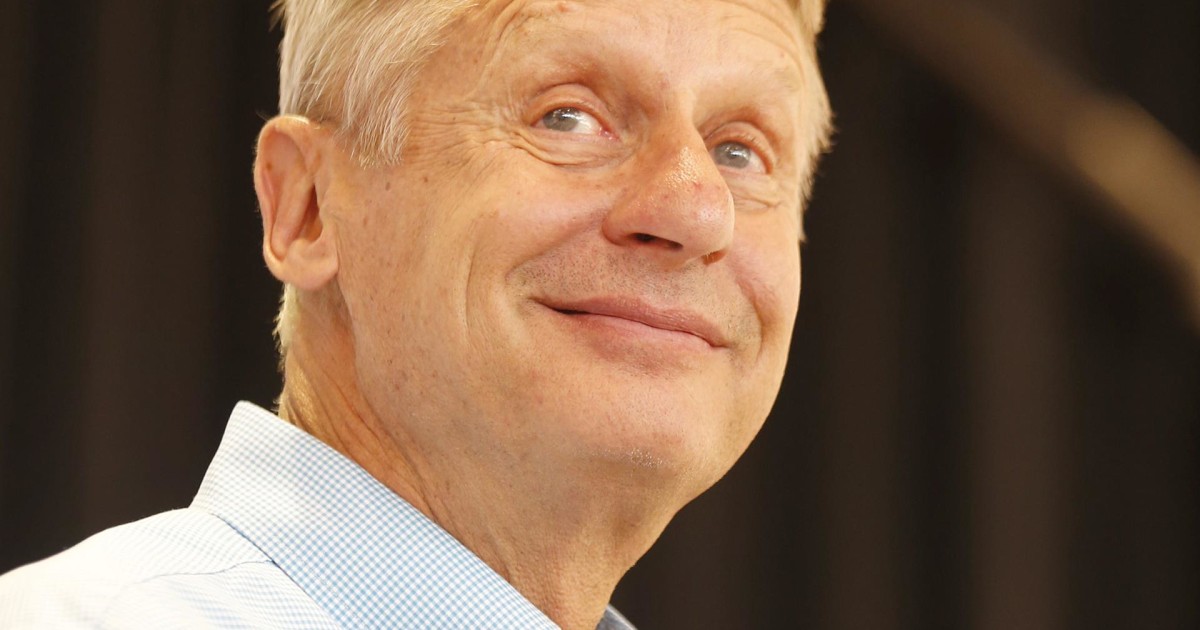 Gary Johnson Beyond the Gaffes