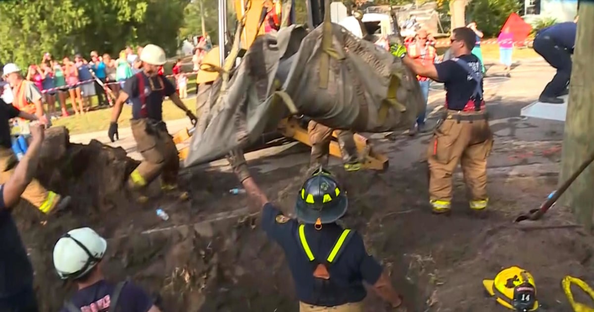 MANATEE SUCCESSFULLY RESCUED FROM CENTRAL FLORIDA STORM DRAIN intelligence overview