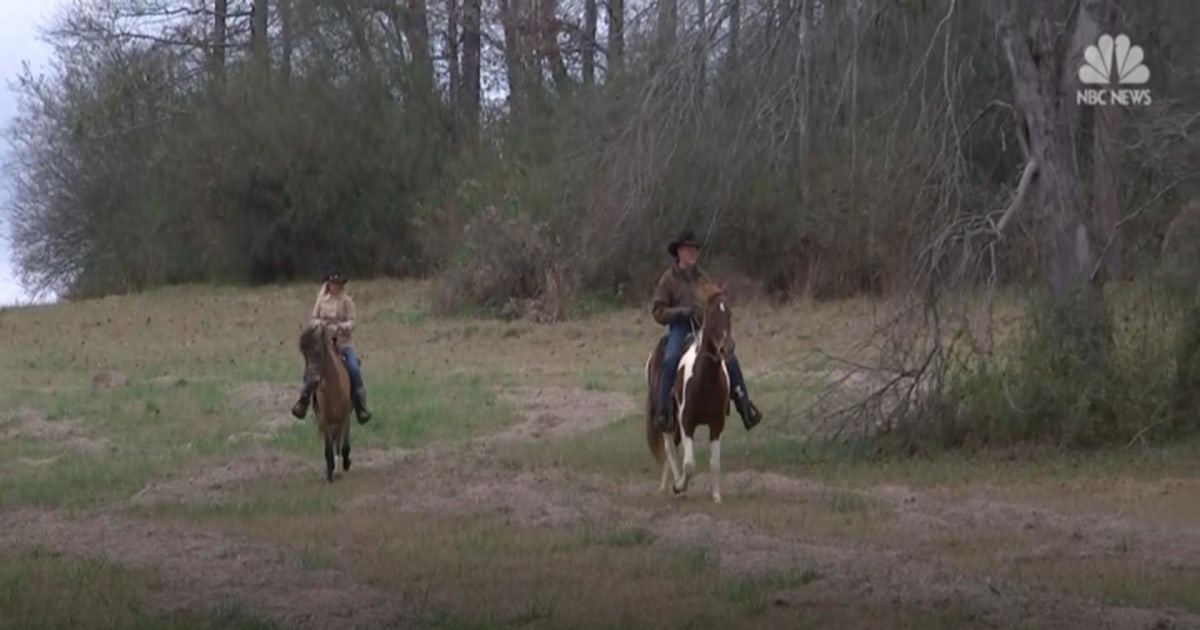 Roy Moore rides horseback to vote in Alabama senate race