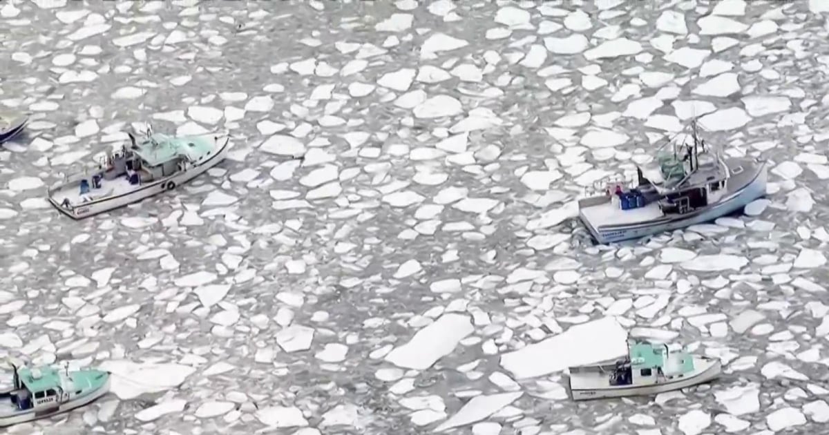 Half the country faces below freezing temperatures as bitter cold front ...