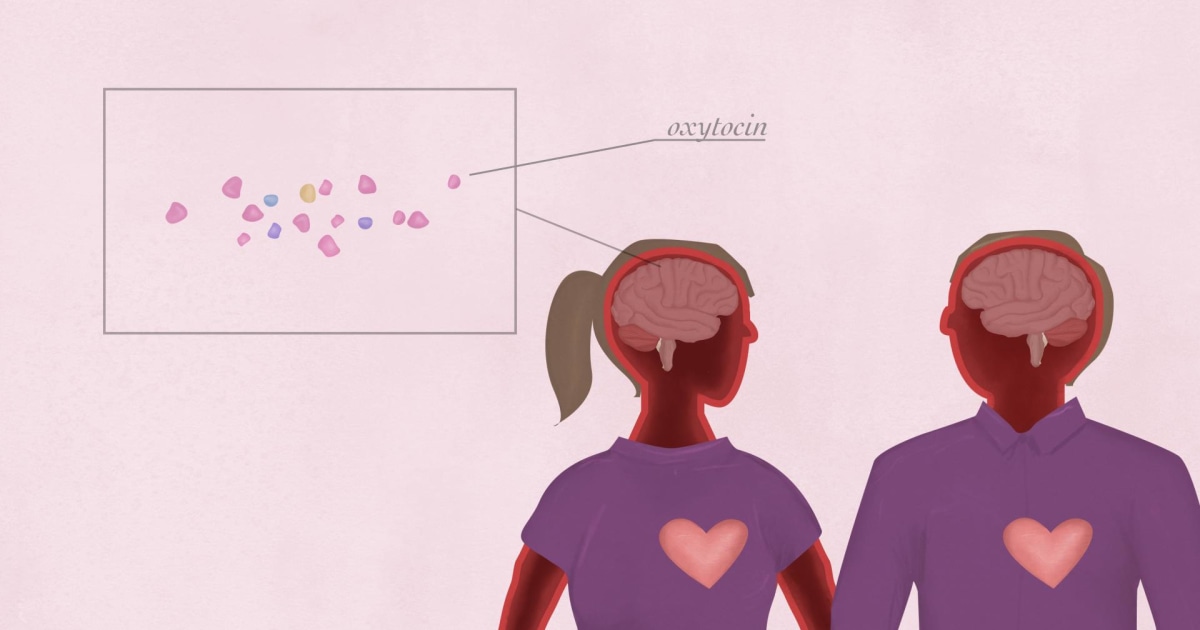 What happens in your brain when you're in love