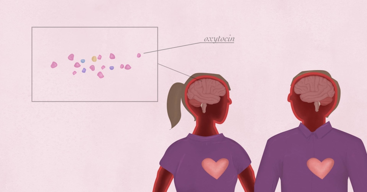 What Happens In Your Brain When You Re In Love