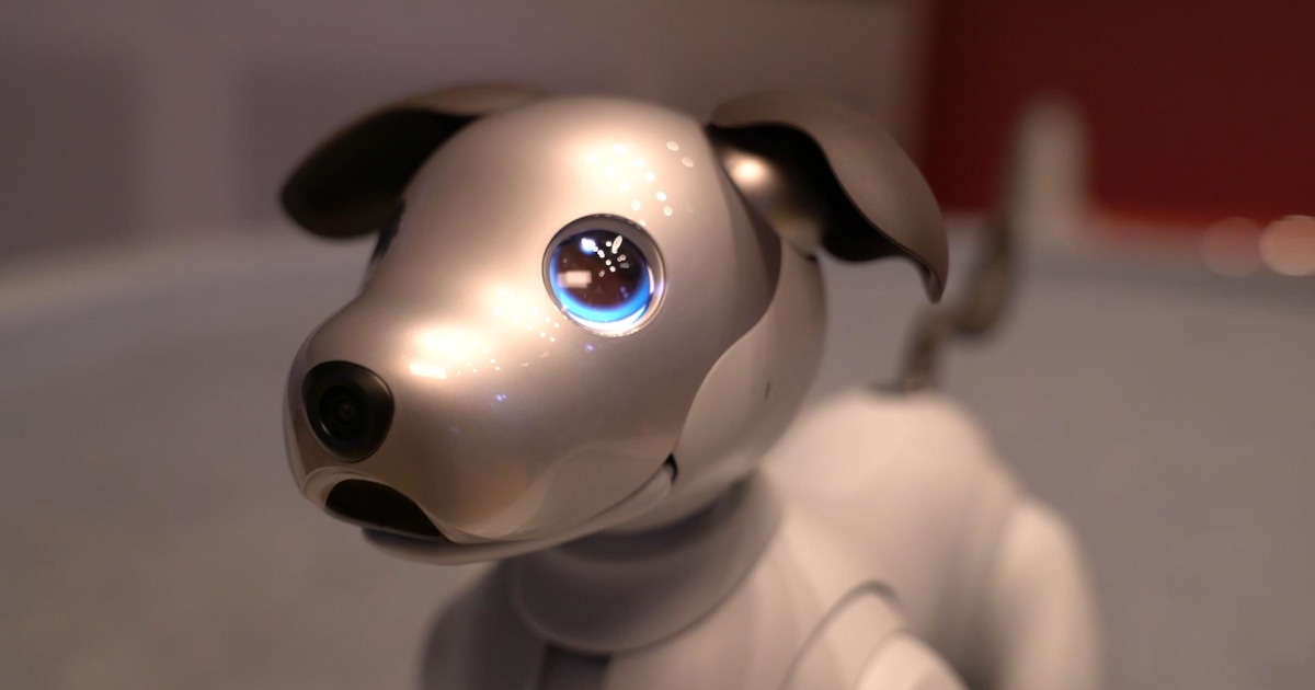 Sony’s beloved robotic dog is back with a new bag of tricks