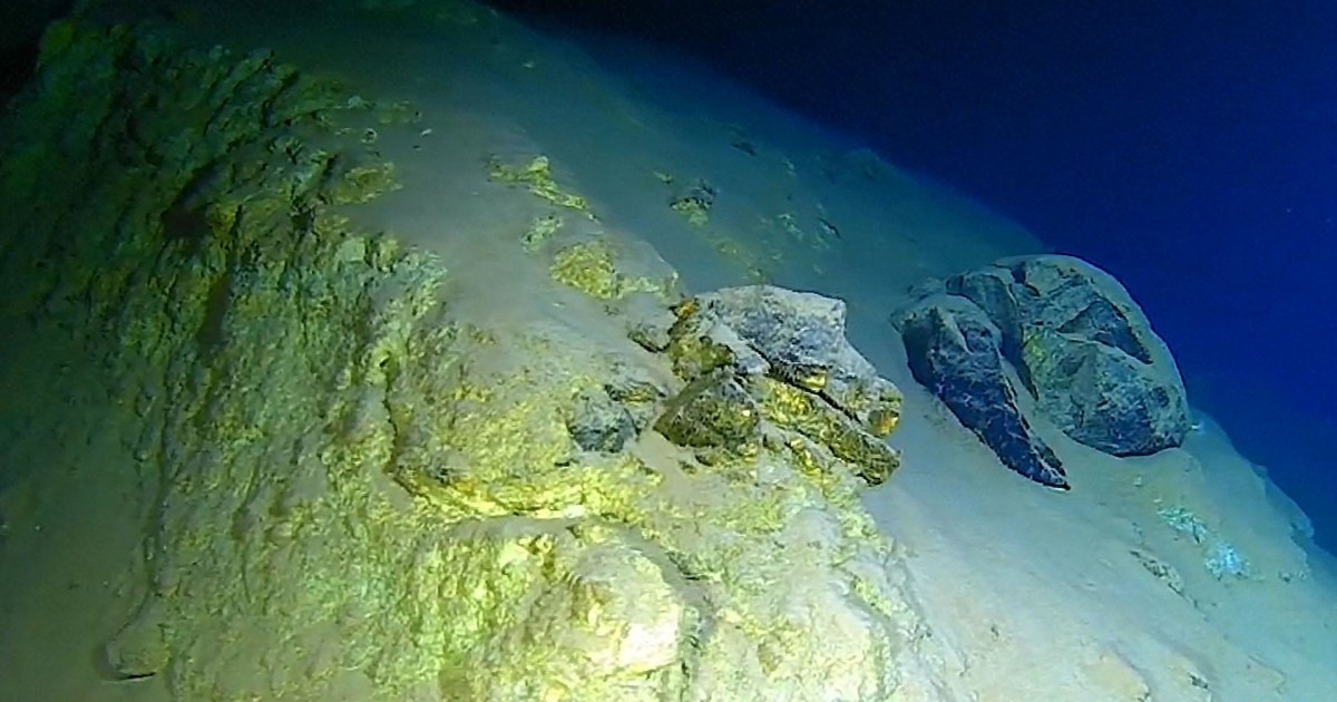 Explorer Victor Vescovo Found Trash On Pacifics Mariana Trench Seabed 