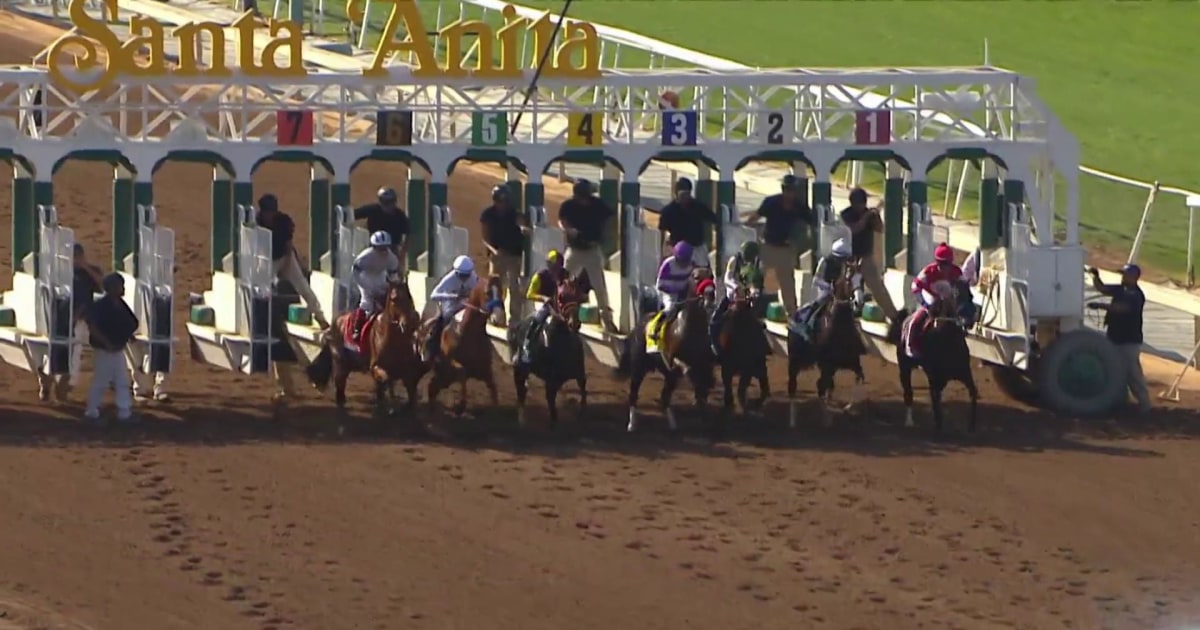Outrage after 30th horse dies at Santa Anita racetrack since December