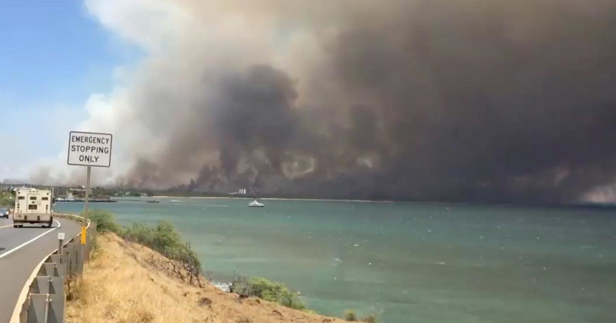 Brush fire sweeps through Kihei, Maui, Hawaii