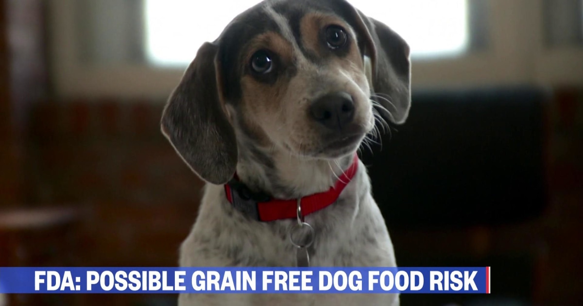 Dems slam migrant detention centers, FDA dog food warning, Solar eclipse