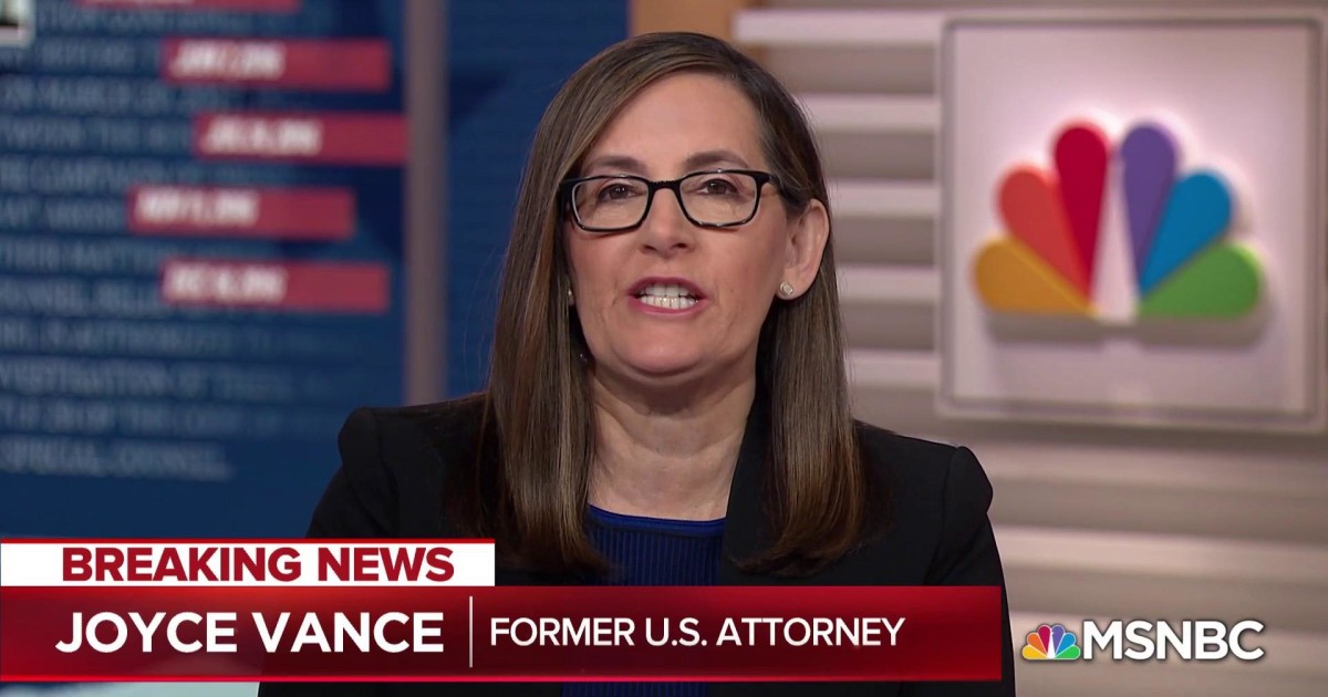 Joyce Vance No one actually questioned the facts in the Mueller report