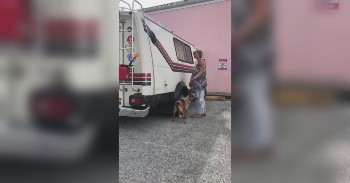 Woman arrested after allegedly kicking and choking dog in viral video