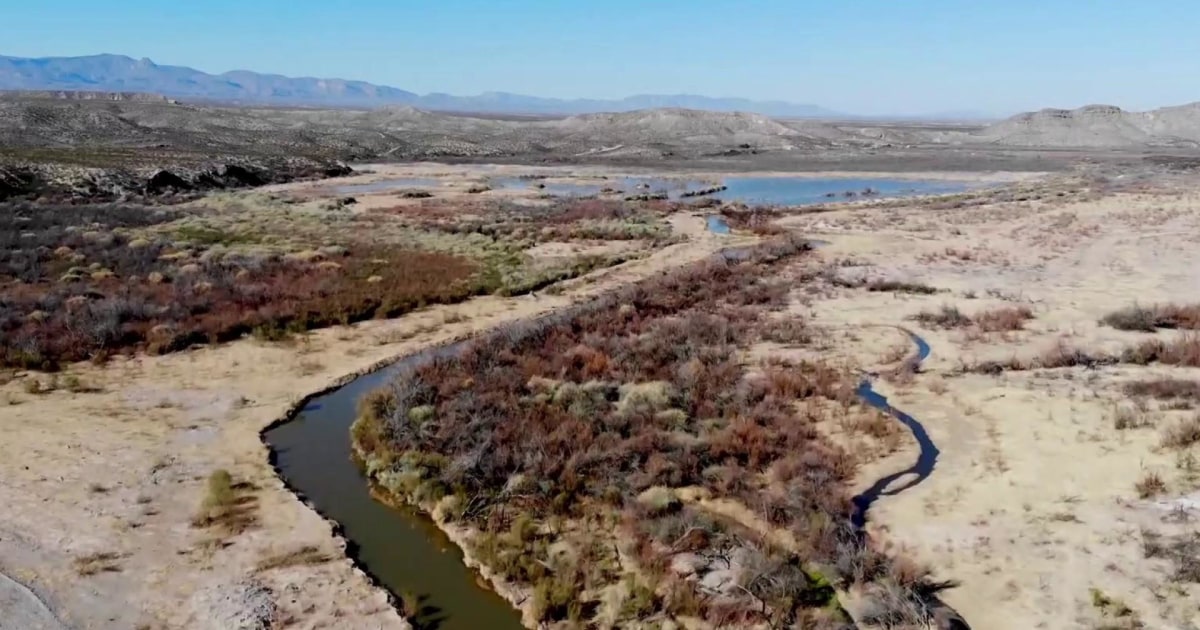 Federal judge blocks Trump plan to use Pentagon funds to build border wall