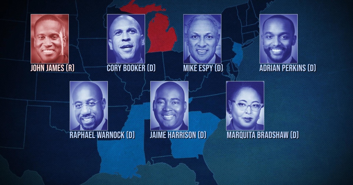 Seven Black candidates contending for Senate seats in historic election