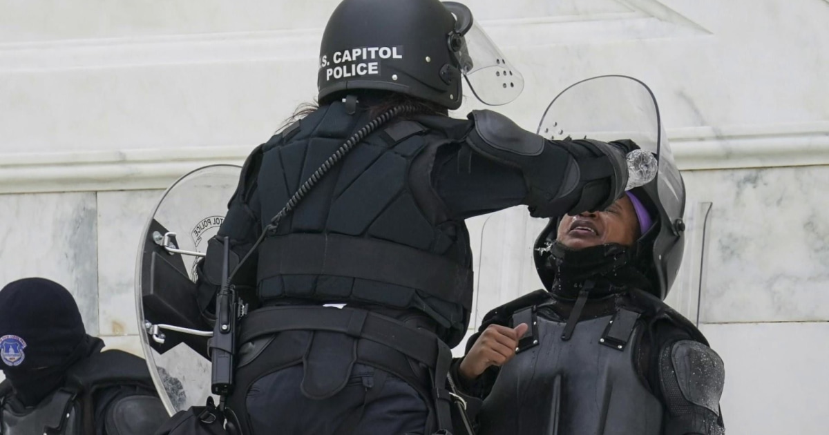 Why aren’t the police arresting Capitol protesters?